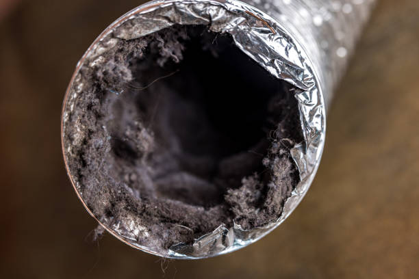 Best Best Air Duct Cleaning Company  in Cascade, IA